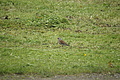 DSC09497 - Bernhard Saalfeld