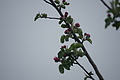 DSC09498 - Bernhard Saalfeld