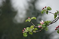DSC09507 - Bernhard Saalfeld