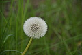 DSC09508 - Bernhard Saalfeld