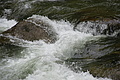 DSC09513 - Bernhard Saalfeld