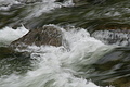 DSC09514 - Bernhard Saalfeld