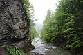 DSC09518 - Bernhard Saalfeld