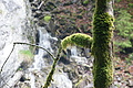 DSC09523 - Bernhard Saalfeld