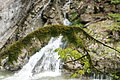 DSC09525 - Bernhard Saalfeld
