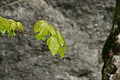 DSC09527 - Bernhard Saalfeld