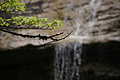 DSC09536 - Bernhard Saalfeld