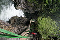 DSC09537 - Bernhard Saalfeld