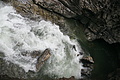 DSC09538 - Bernhard Saalfeld