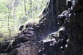 DSC09540 - Bernhard Saalfeld