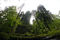 DSC09545 - Bernhard Saalfeld