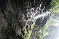 DSC09546 - Bernhard Saalfeld