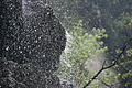 DSC09557 - Bernhard Saalfeld