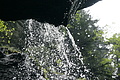 DSC09559 - Bernhard Saalfeld