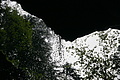 DSC09560 - Bernhard Saalfeld