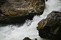 DSC09585 - Bernhard Saalfeld