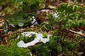 DSC09600 - Bernhard Saalfeld