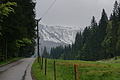 DSC09605 - Bernhard Saalfeld