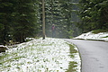 DSC09613 - Bernhard Saalfeld