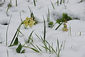 DSC09619 - Bernhard Saalfeld