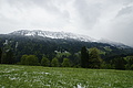 DSC09623 - Bernhard Saalfeld