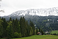 DSC09635 - Bernhard Saalfeld