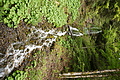 DSC09645 - Bernhard Saalfeld