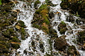 DSC09646 - Bernhard Saalfeld