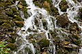 DSC09648 - Bernhard Saalfeld