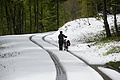 DSC09656 - Bernhard Saalfeld
