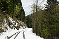 DSC09659 - Bernhard Saalfeld