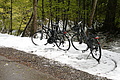 DSC09661 - Bernhard Saalfeld