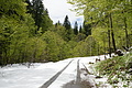 DSC09662 - Bernhard Saalfeld