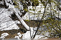 DSC09663 - Bernhard Saalfeld