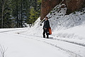 DSC09664 - Bernhard Saalfeld