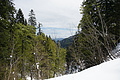 DSC09665 - Bernhard Saalfeld