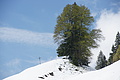 DSC09669 - Bernhard Saalfeld