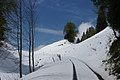 DSC09670 - Bernhard Saalfeld