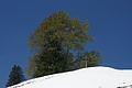 DSC09674 - Bernhard Saalfeld