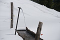 DSC09676 - Bernhard Saalfeld