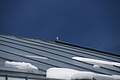 DSC09678 - Bernhard Saalfeld