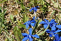 DSC09695 - Bernhard Saalfeld