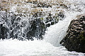 DSC09697 - Bernhard Saalfeld