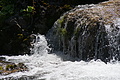 DSC09710 - Bernhard Saalfeld