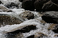 DSC09711 - Bernhard Saalfeld
