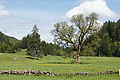 DSC09717 - Bernhard Saalfeld