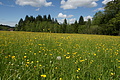 DSC09727 - Bernhard Saalfeld