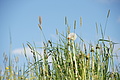 DSC09733 - Bernhard Saalfeld