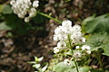 DSC09749 - Bernhard Saalfeld