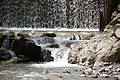 DSC09759 - Bernhard Saalfeld